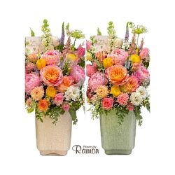 Ruffled Garden from Flowers by Ramon of Lawton, OK